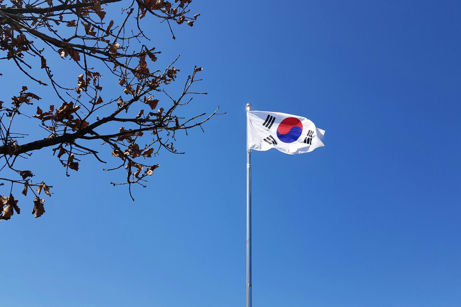 Gwangbokjeol – 80 Jahre Koreas "Tag der Befreiung"