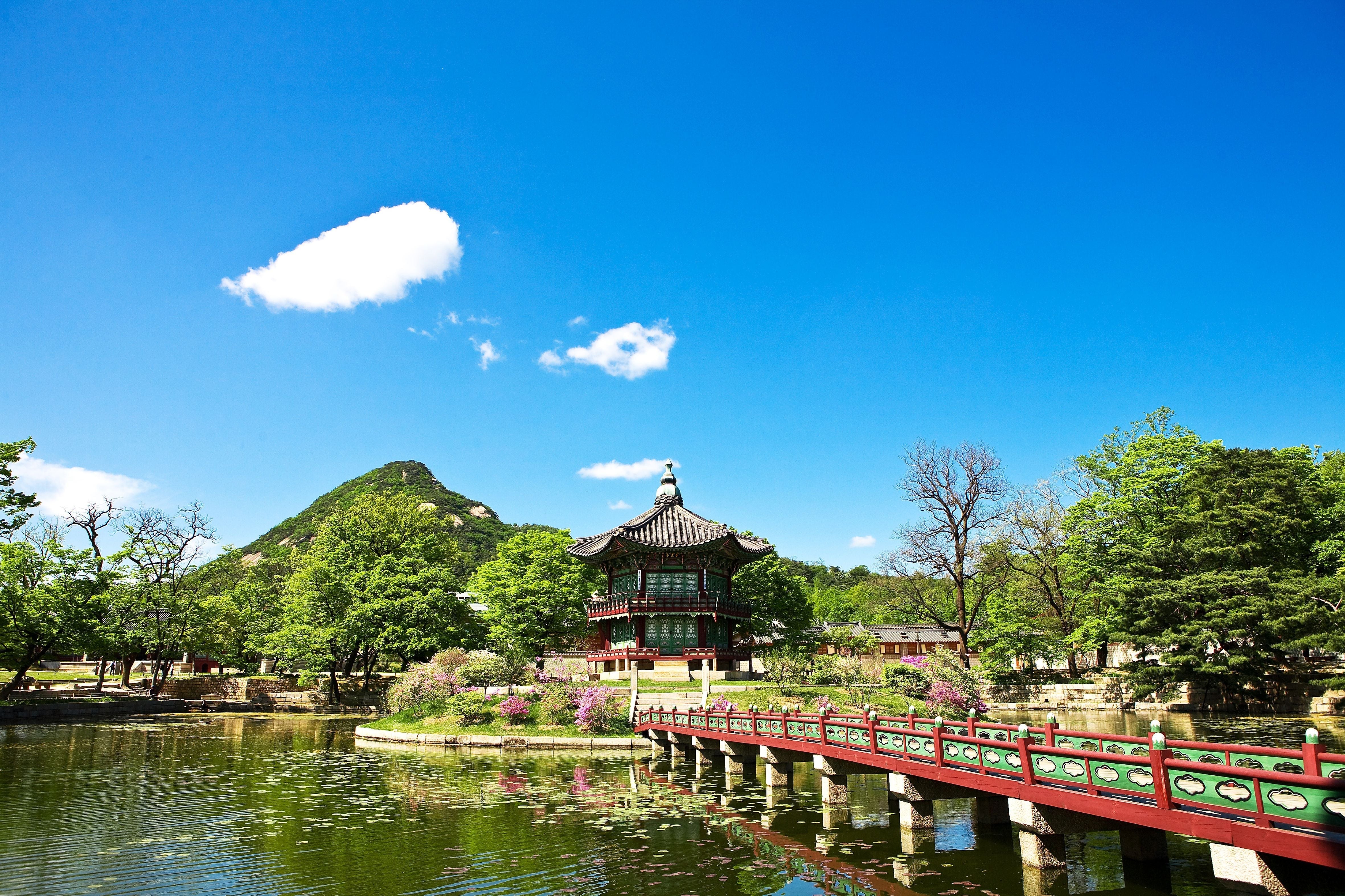 Sommerzeit in Korea – Zwischen Hitzewelle, Bingsu und Bildungseifer