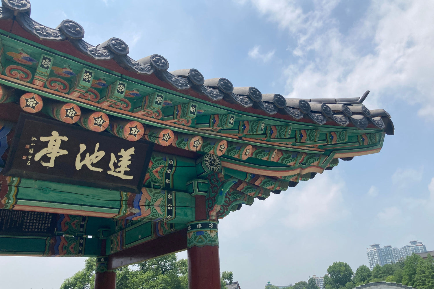 Koreanische Adoptionen – ein Kapitel, das kaum jemand kennt